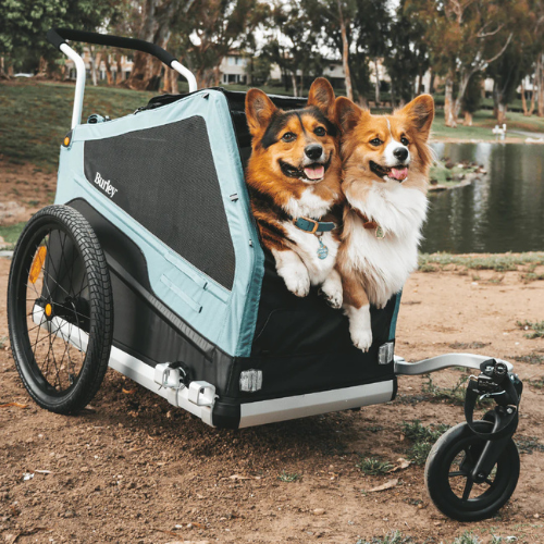 Pawvello