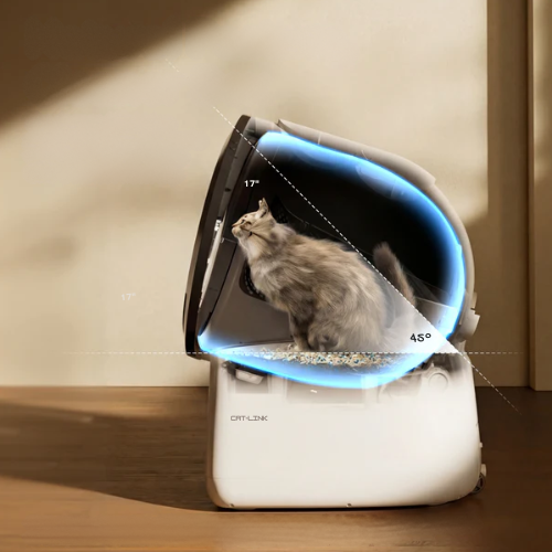 CatVista