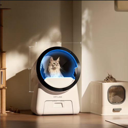 CatVista