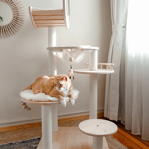 Purrhaven