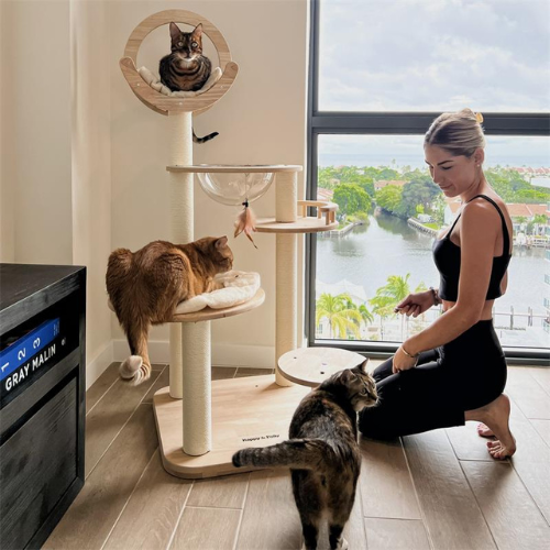 Purrhaven