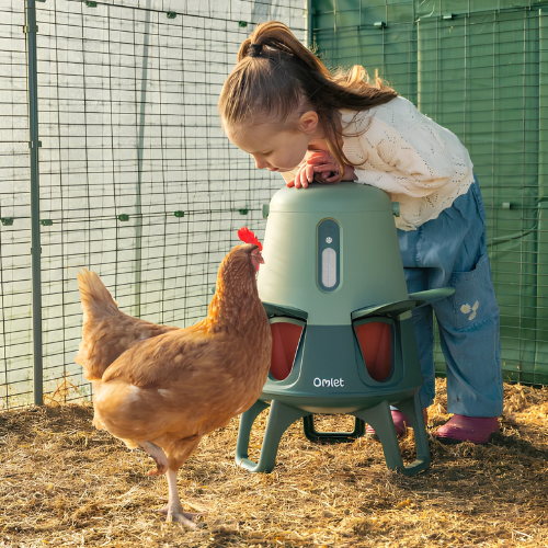Chickora