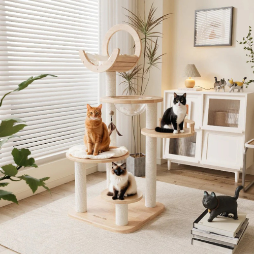 Purrhaven