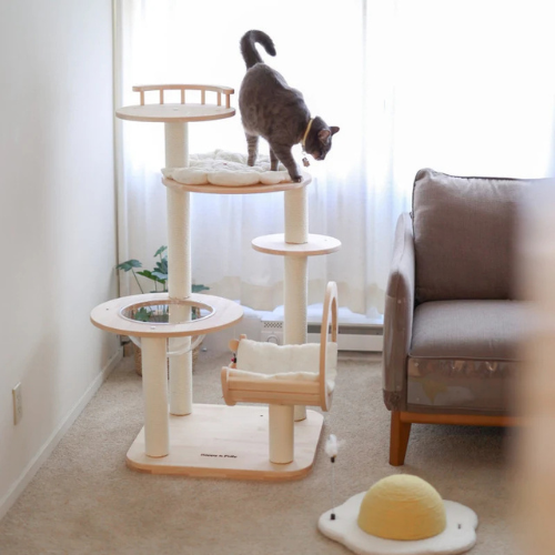 Purrhaven